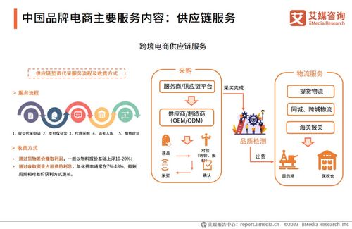 2023年中國(guó)品牌電商服務(wù)行業(yè)研究報(bào)告 信息咨詢服務(wù)深度解析