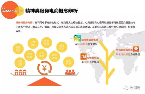 2017上半年中國精神類服務(wù)電商市場(chǎng)研究報(bào)告 信息咨詢服務(wù)引領(lǐng)新風(fēng)尚